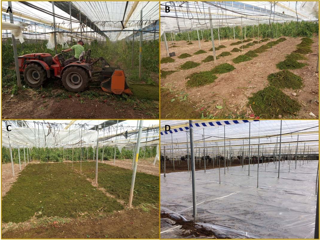 Biosolarización de suelo agrícola