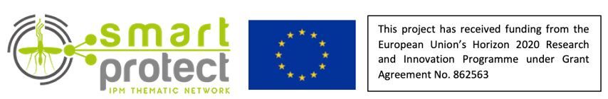 Logo de SmartProtect financiado por el programa Horizonte 2020 de la Unión Europea