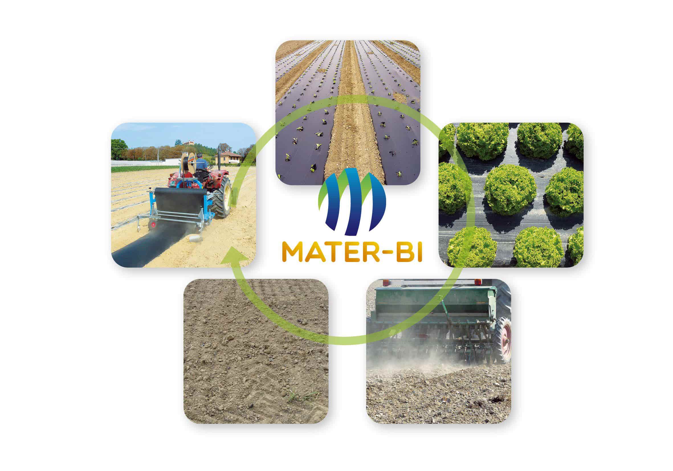 El Mater-Bi es un bioplástico para acolchado biodegradable en el suelo