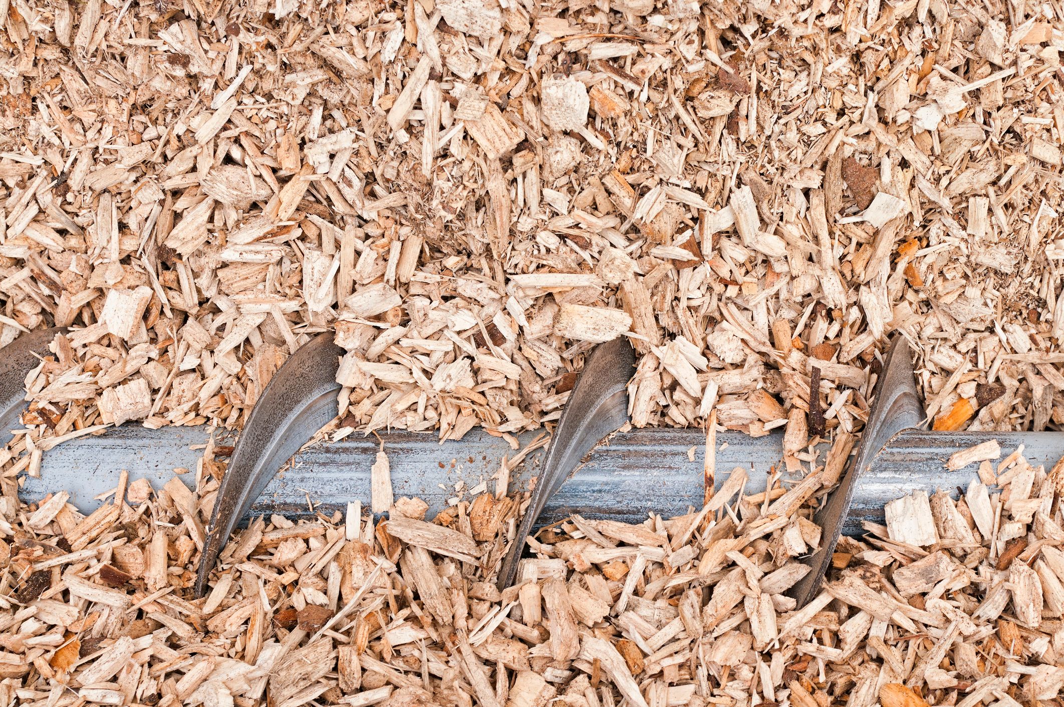 Recorte de madera de hélice para cargar en la biomasa caldera