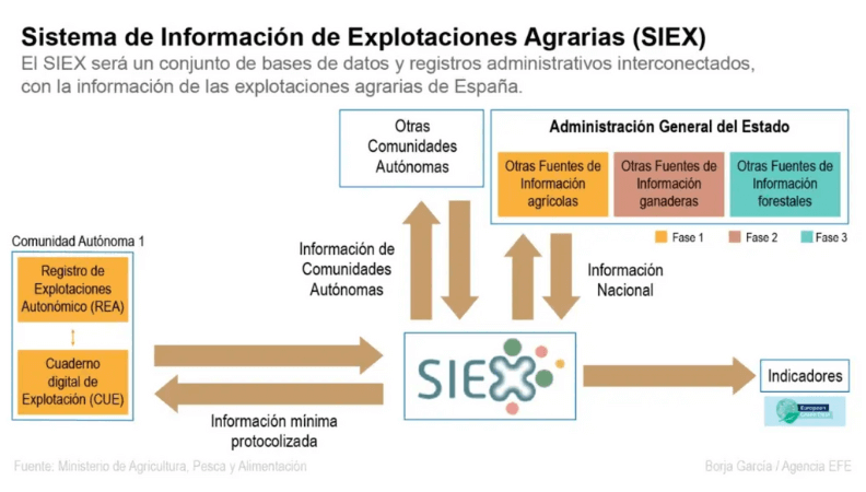 Infografía SIEX. Elaboración: EFE Agro.