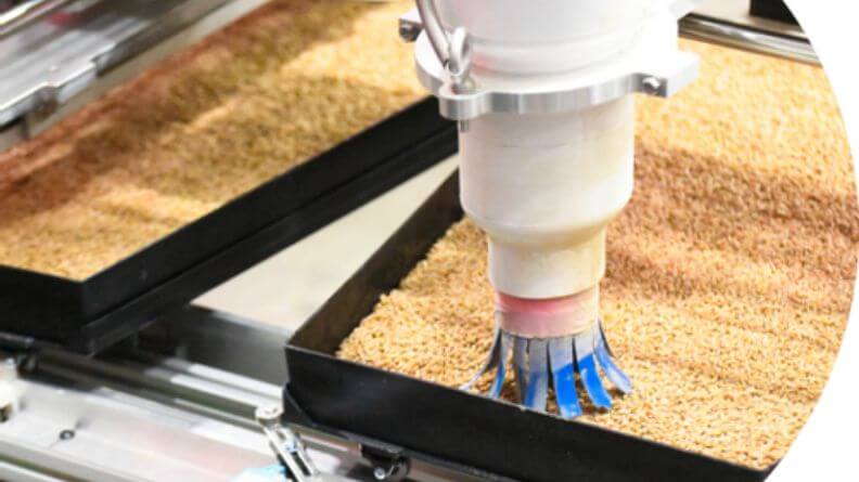 El uso de la agricultura vertical para alimentación animal
