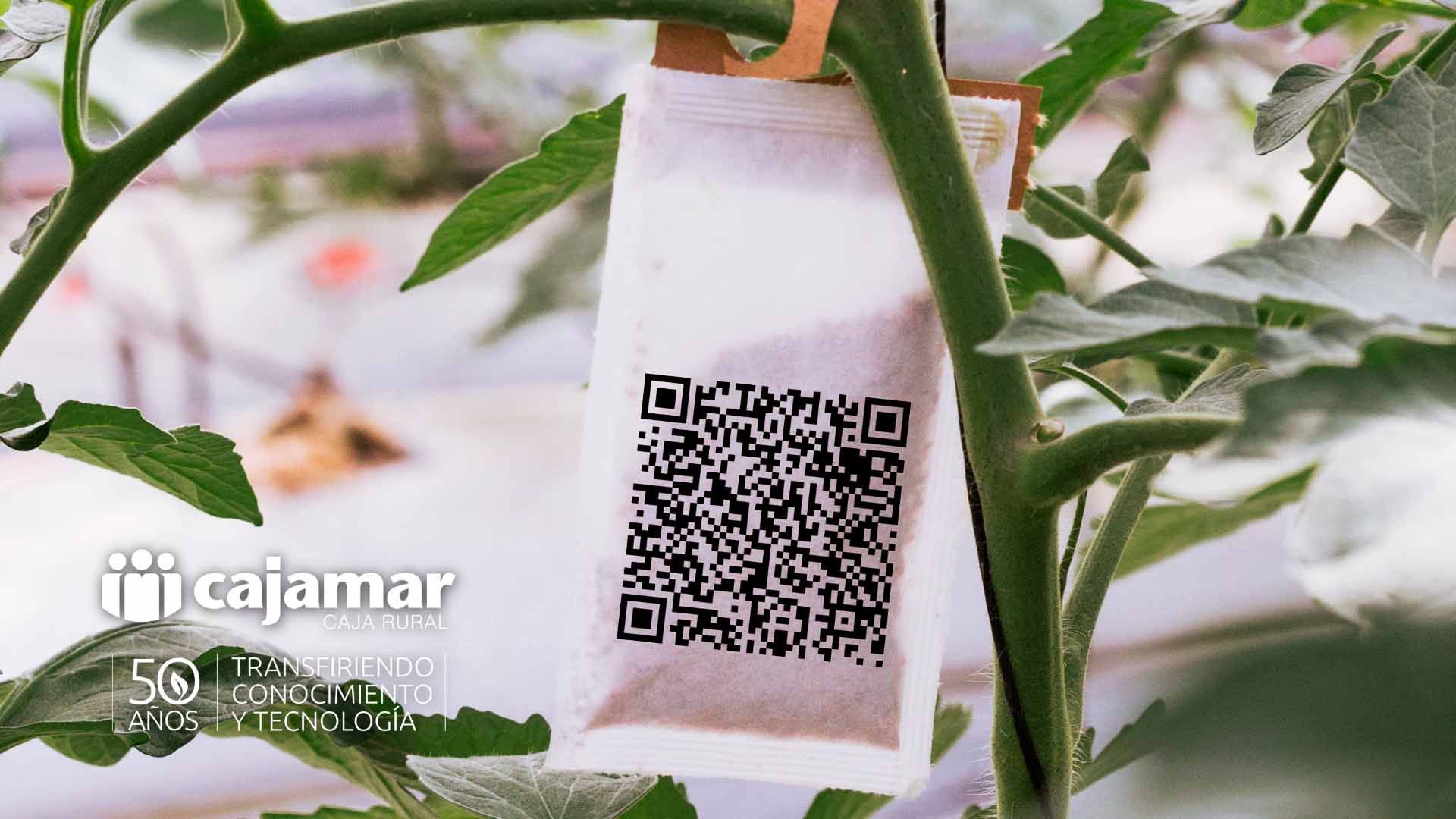 QR - Digitalización Invernaderos Almería