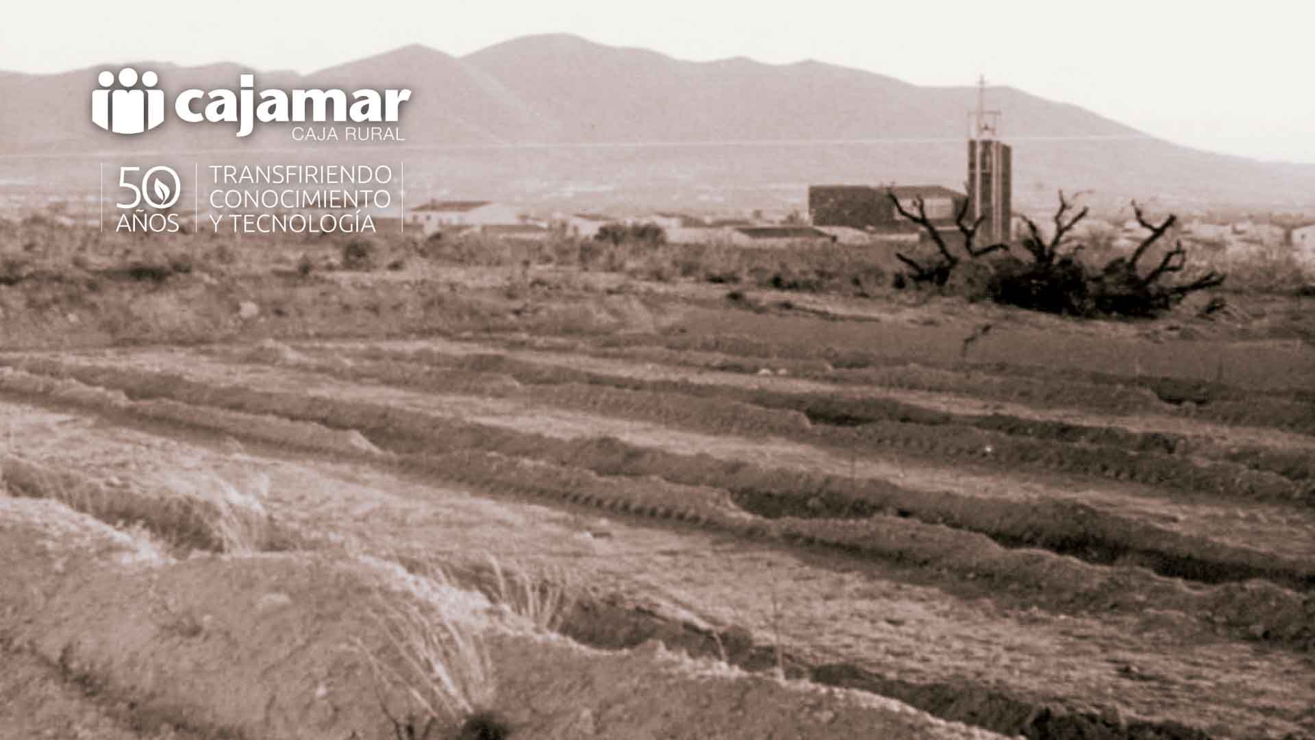 Terrenos sobre los que se levantó la Finca Experimental ‘El Almendral’ en Huércal Overa
