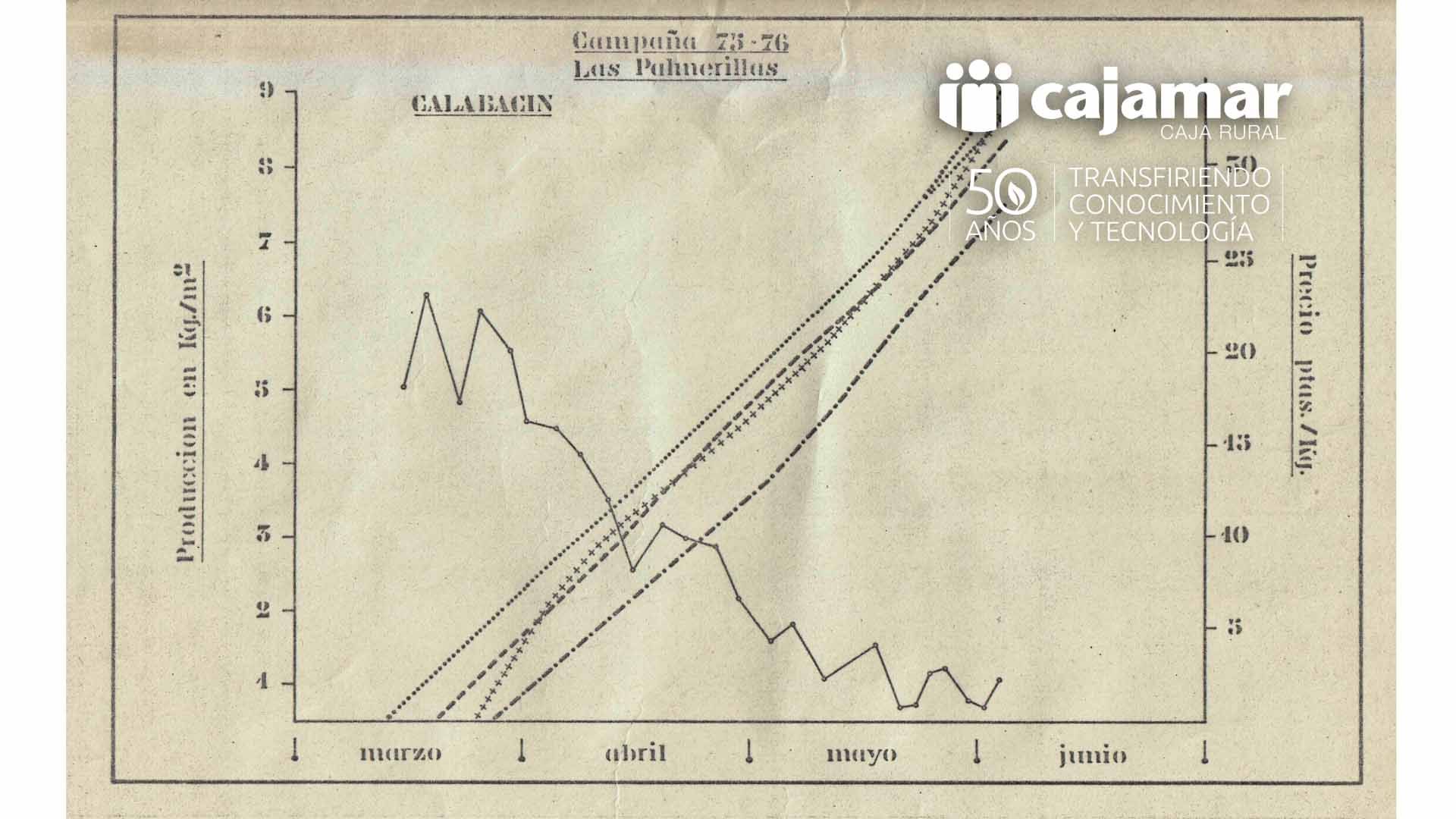 50-aniversario-recursos-3 (2).jpg