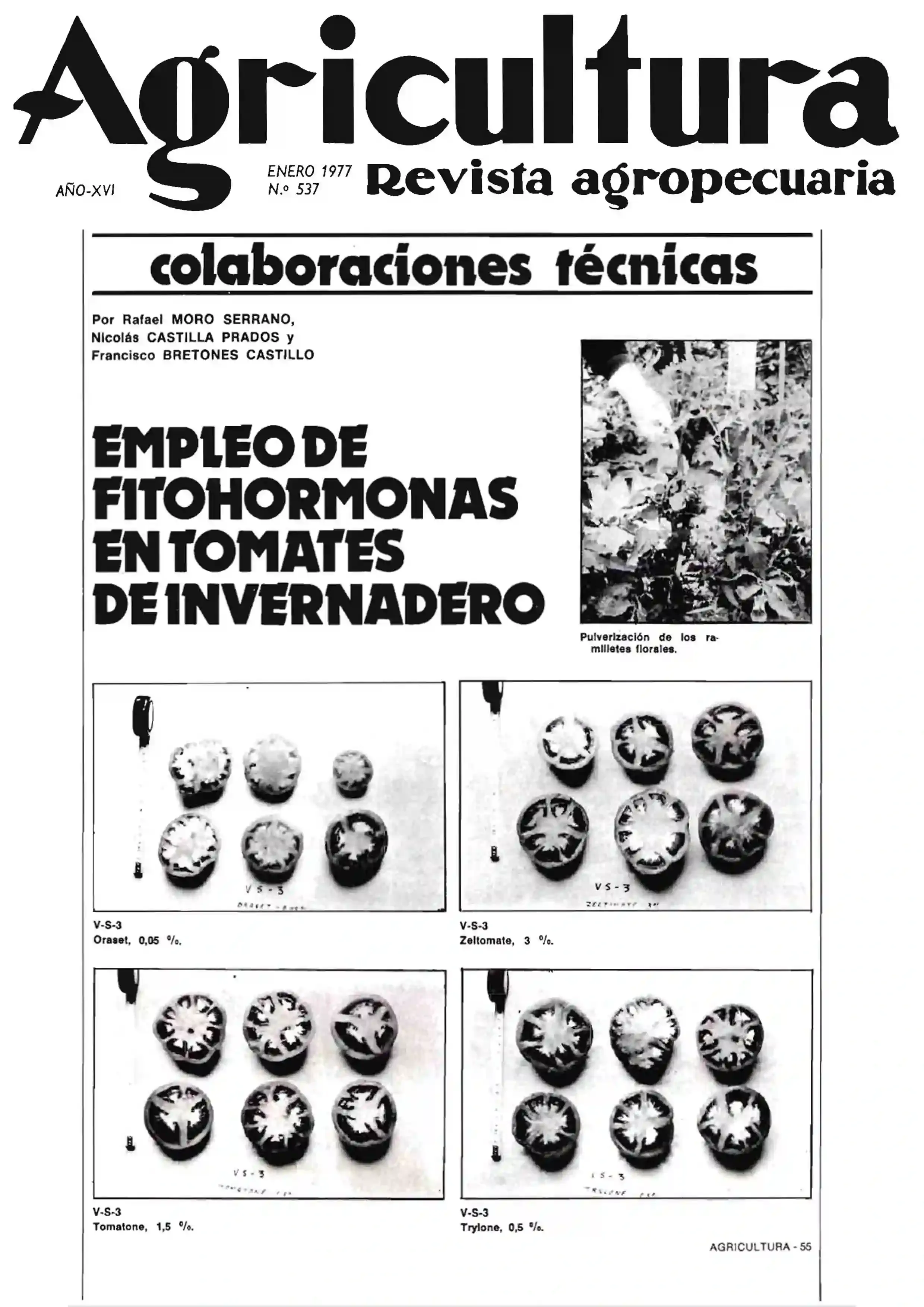 AGRICULTURA-1977.webp