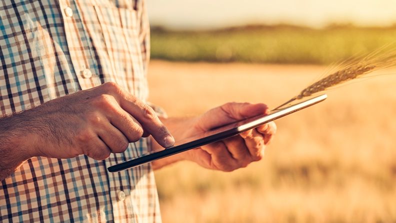 Las nuevas tecnologías y la inteligencia artificial son herramientas para la mejora sostenible de nuestros cultivos.