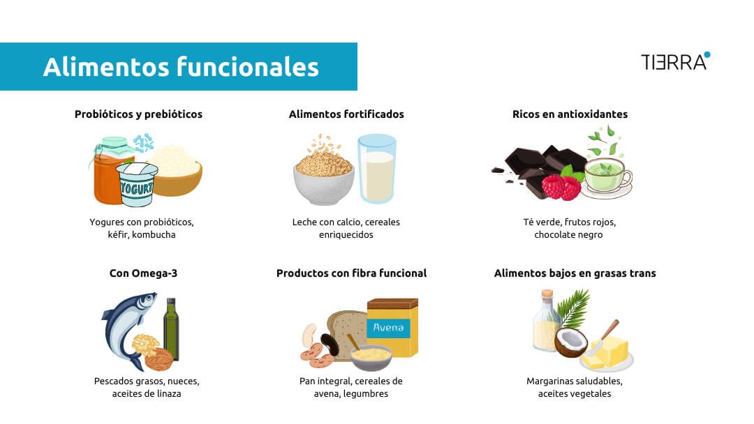 Alimentos funcionales.jpg
