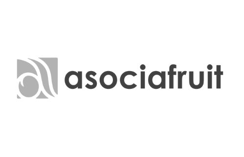 Asociafruit Logo gris