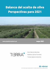 Portada informe balance del aceite de oliva, perspectivas para 2021