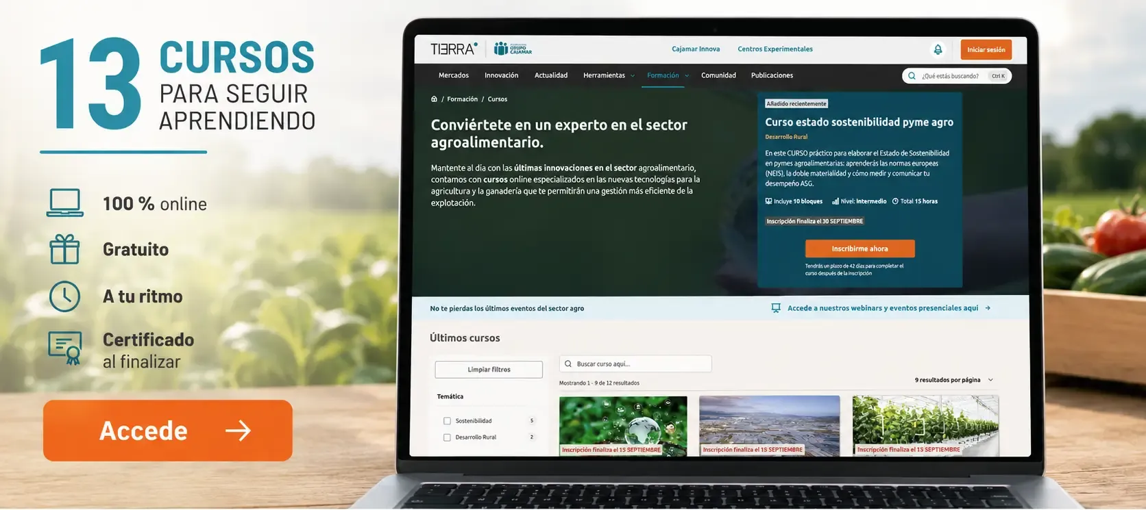 Banner sobre el catálogo de cursos en Formación Tierra.
