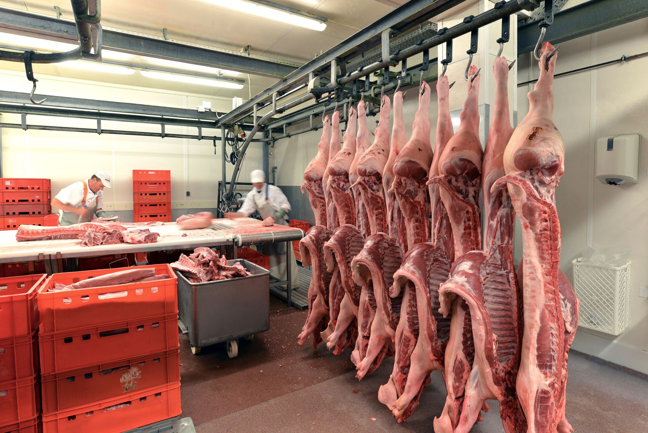 Piezas de cerdo en el almacenamiento en frío de un matadero