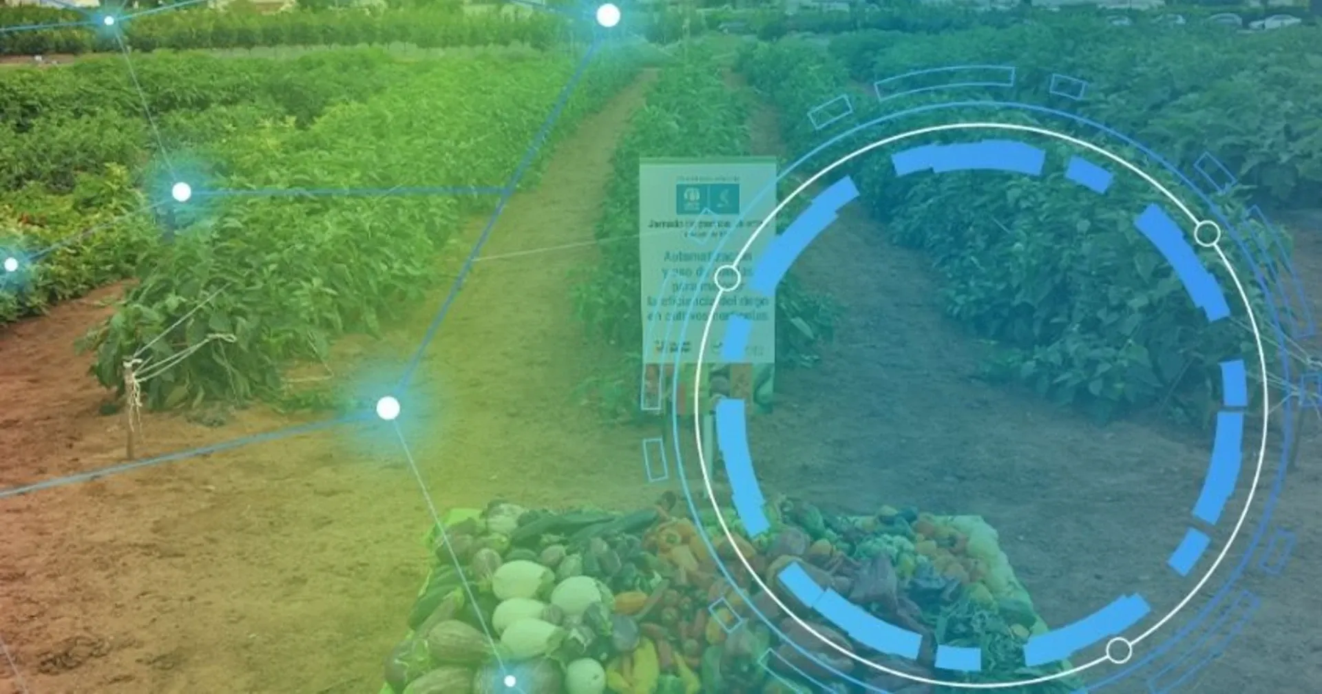 Campo con cultivos, vegetales cosechados y elementos digitales de agricultura inteligente.