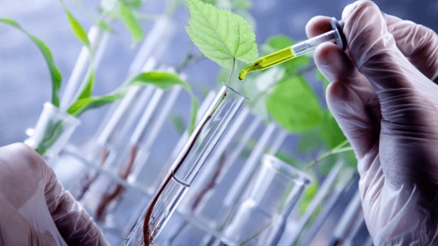 Mano con guante cargando líquido en vial con plantas en fondo.