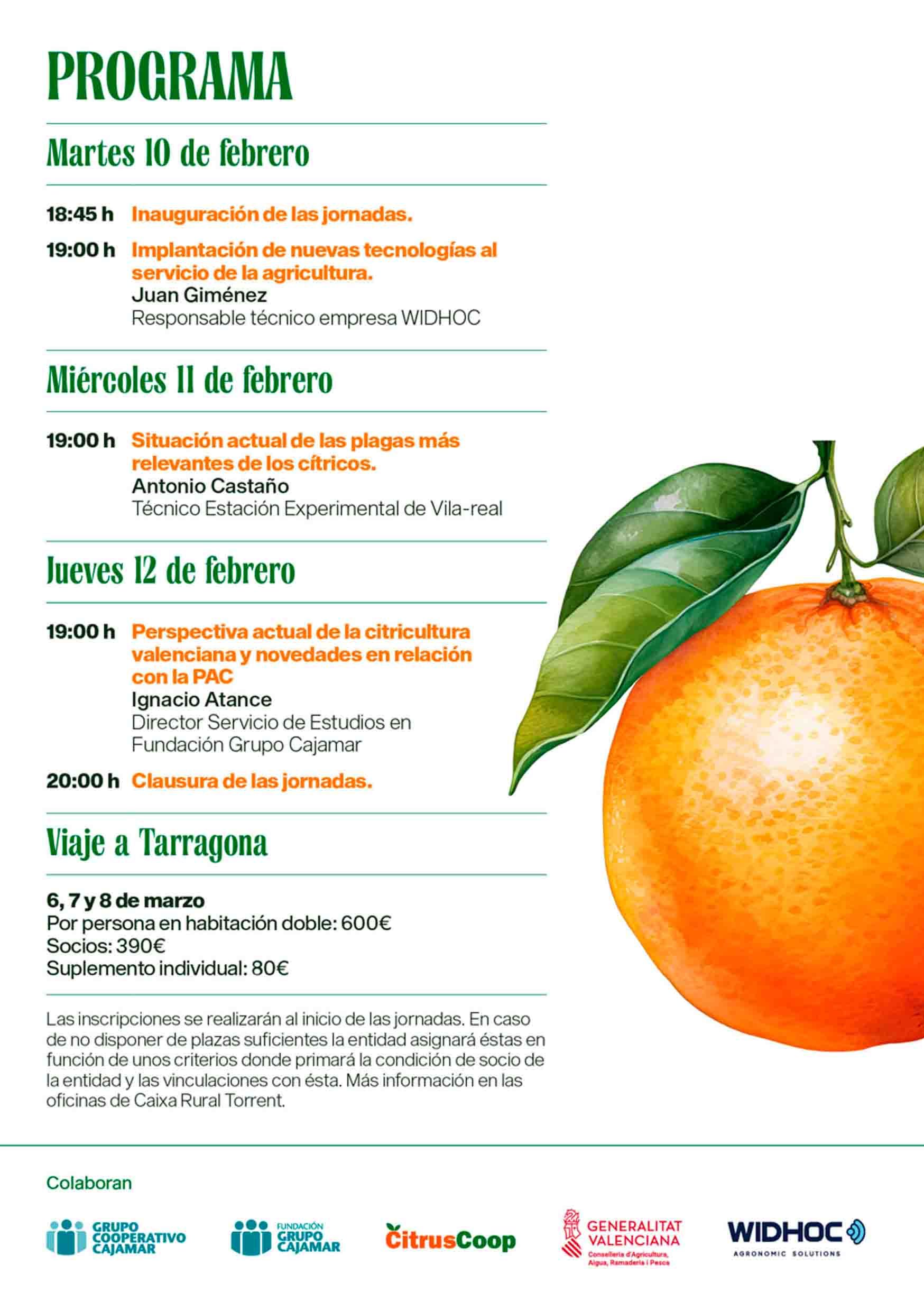 Cartel jornada de cítricos