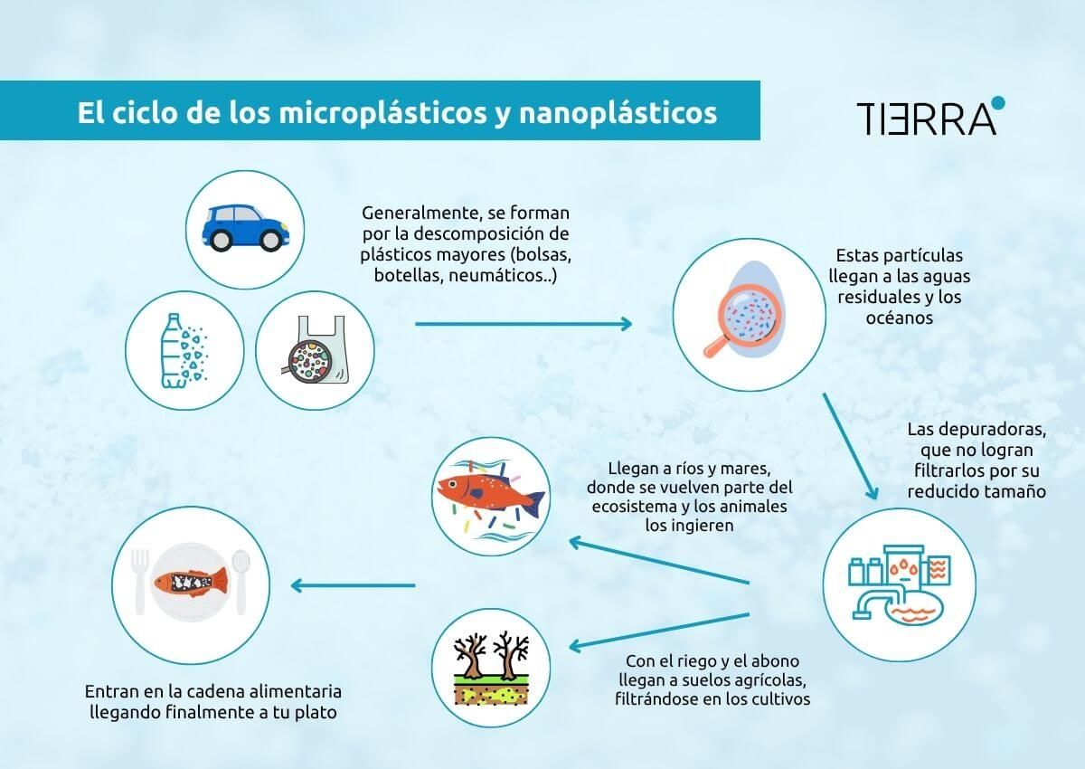 Contaminación por microplásticos y nanoplásticos (1)