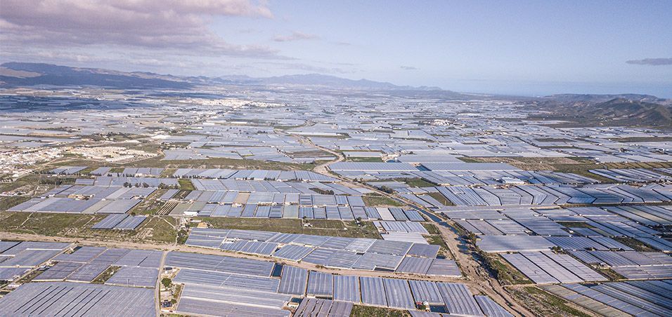 Vista aérea de invernaderos