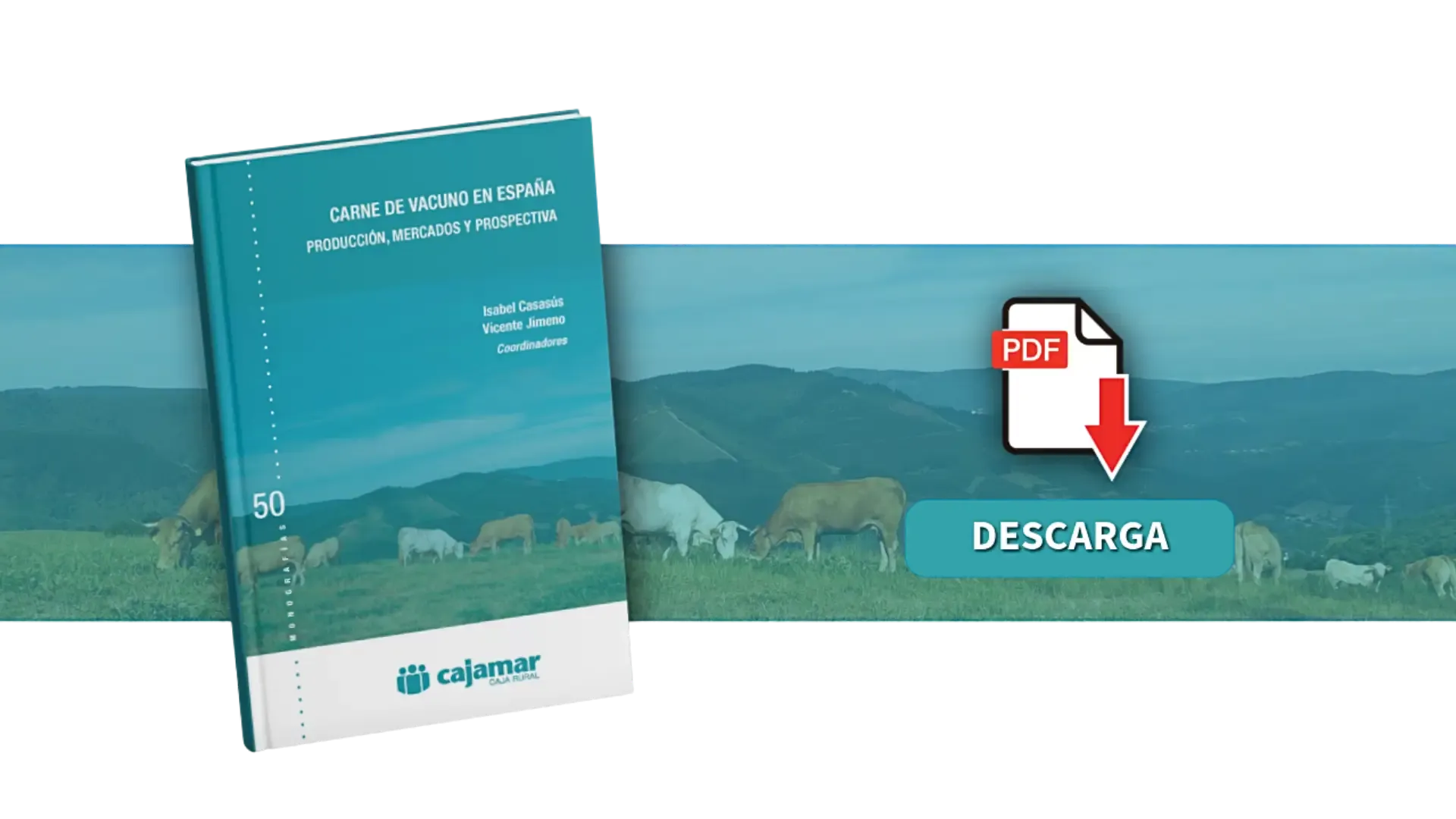 Diseño sin título (5)