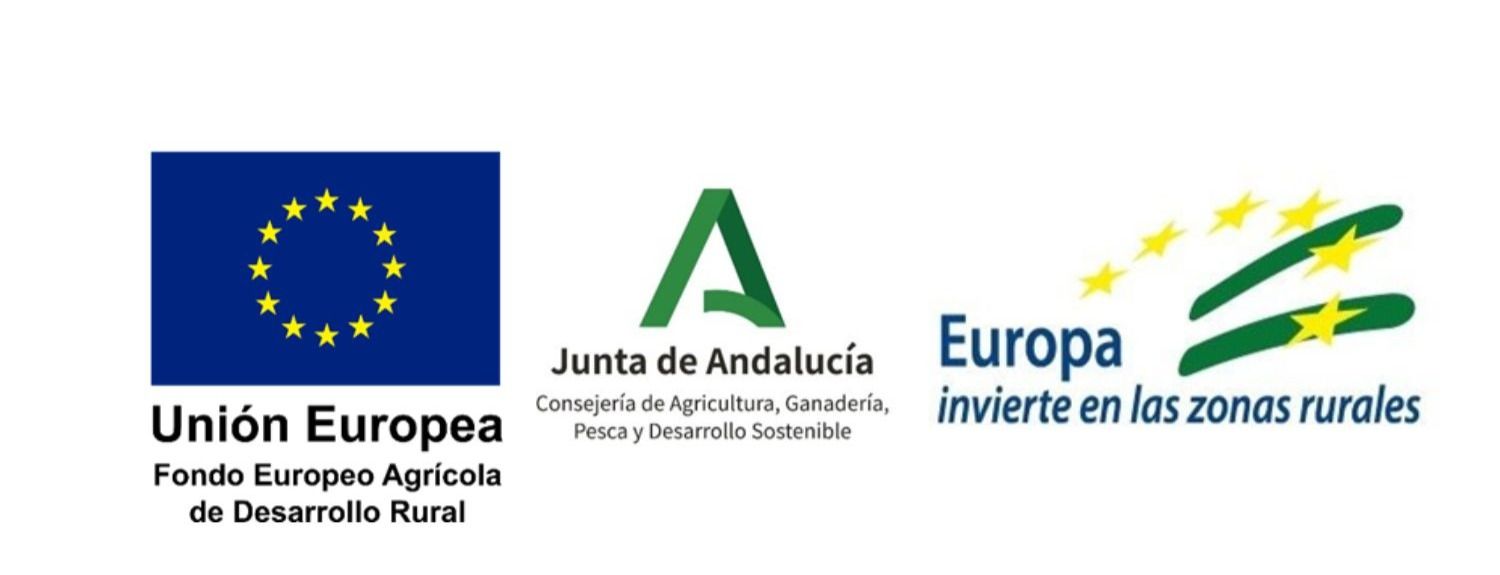 Diseño sin título.JPG