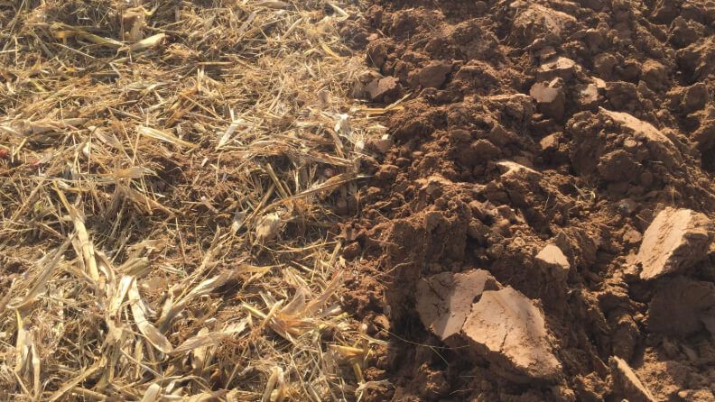 El laboreo agrícola comporta cambios en las características del suelo