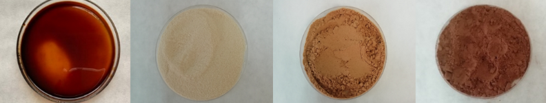 De izquierda a derecha: Extracto concentrado de alpechín, extracto rico en fibra, extracto rico en compuestos fenólicos, extracto empobrecido en compuestos fenólicos