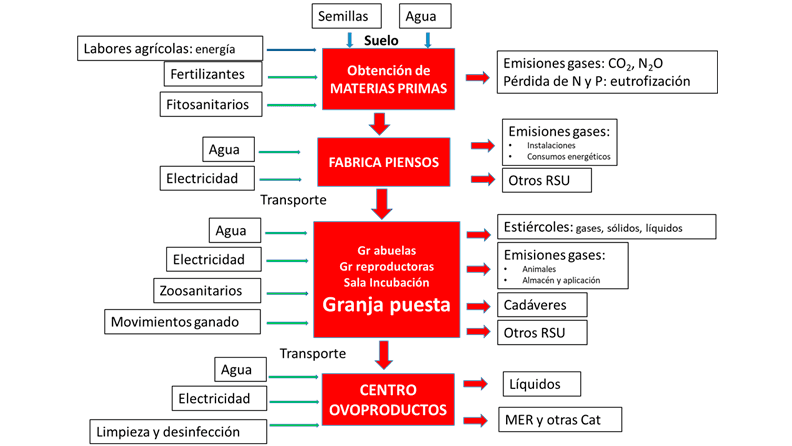 Figura nº 2. Para conocer la huella ambiental de la producción de huevos hay que analizar todos los procesos (entradas y salidas) de la cadena de valor. (elaboración propia)