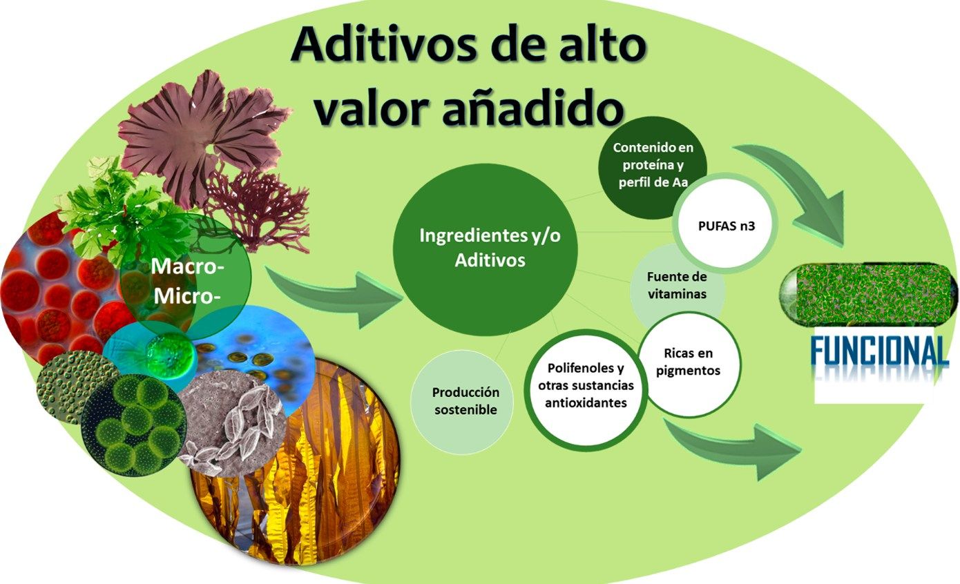 Figura 1. Esquema sobre el efecto funcional de la biomasa algal.