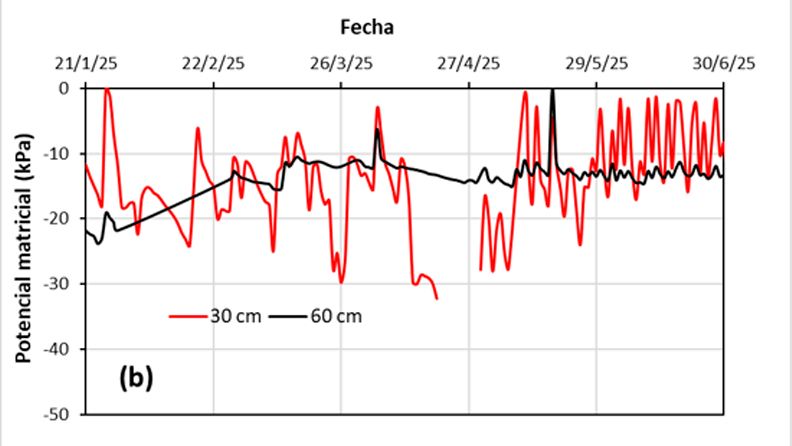 Figura 2. Evolución de la precipitación efectiva (Pe) y riego calculado (a) y el potencial matricial del suelo a dos profundidades, 30 y 60 cm, en la parcela regada siguiendo la recomendación de IRRIGATE-DSS (b).