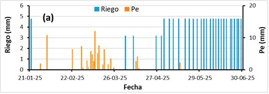 Figura 2. Evolución de la precipitación efectiva (Pe) y riego calculado (a) y el potencial matricial del suelo a dos profundidades, 30 y 60 cm, en la parcela regada siguiendo la recomendación de IRRIGATE-DSS (b).