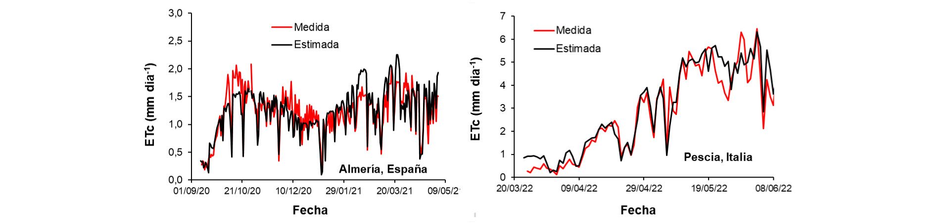 Figura 2