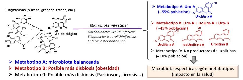 Figura 3