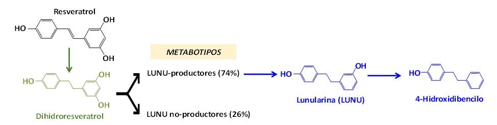 Figura 4