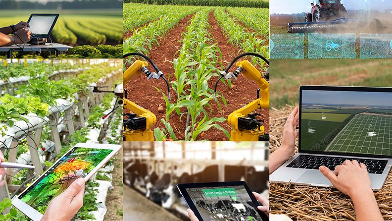 Distintas imágenes que representan la digitalización en el sector agroalimentario