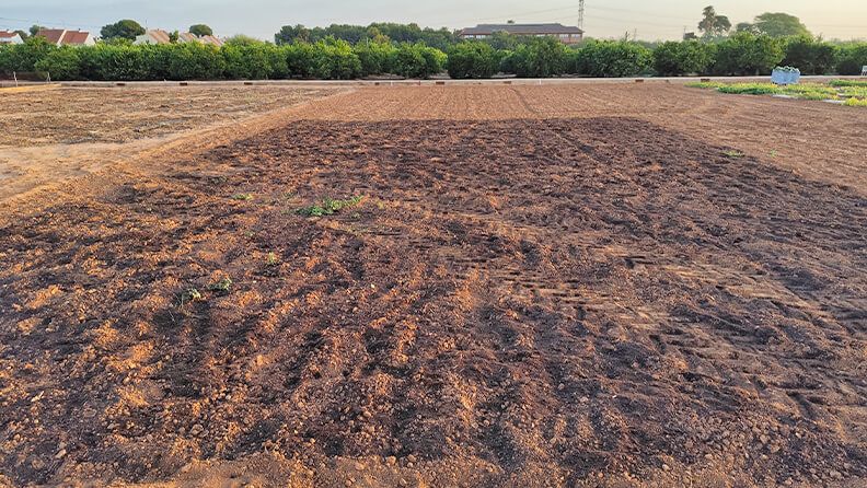 Foto 4. Aplicación de compost en la parcela de agricultura regenerativa.