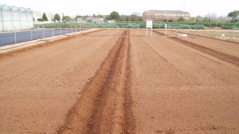Campo de tierra marrón con surcos y construcciones al fondo.
