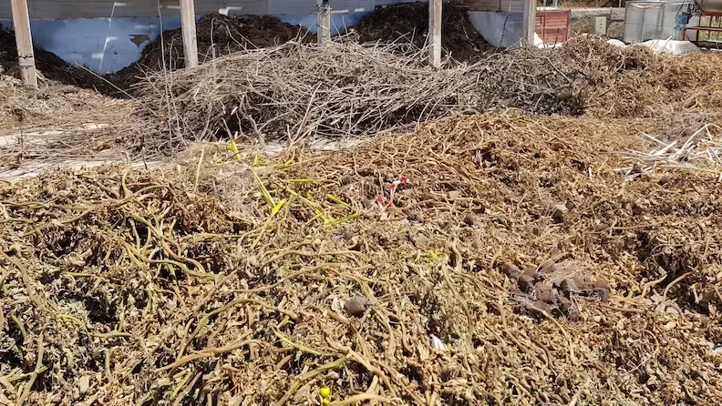 Bioeconomía circular de los restos de cultivo para su reutilización en agricultura