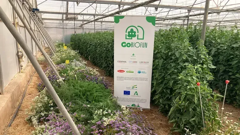 Biodiversidad funcional sin virus en cultivos protegidos.