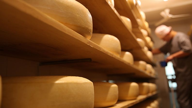 Piezas de queso fresco almacenadas en una fábrica con la presencia difusa de una trabajador al fondo