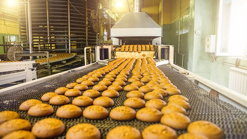 Pasteles en cinta transportadora automática o línea, proceso de horneado en fábrica o planta culinaria de confitería