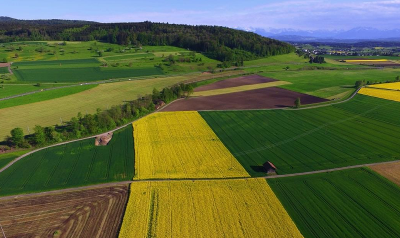 Paisaje agrícola con diferente cultivos, sector agroalimentario español