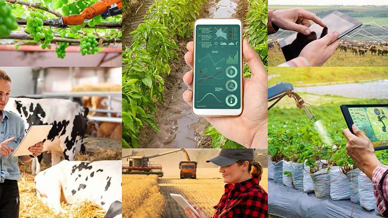 Carrusel de imágenes de sistemas digitales en agricultura y ganadería