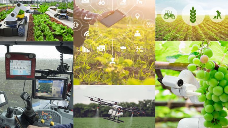 Distintas herramientas para la digitalización del sector agroalimentario