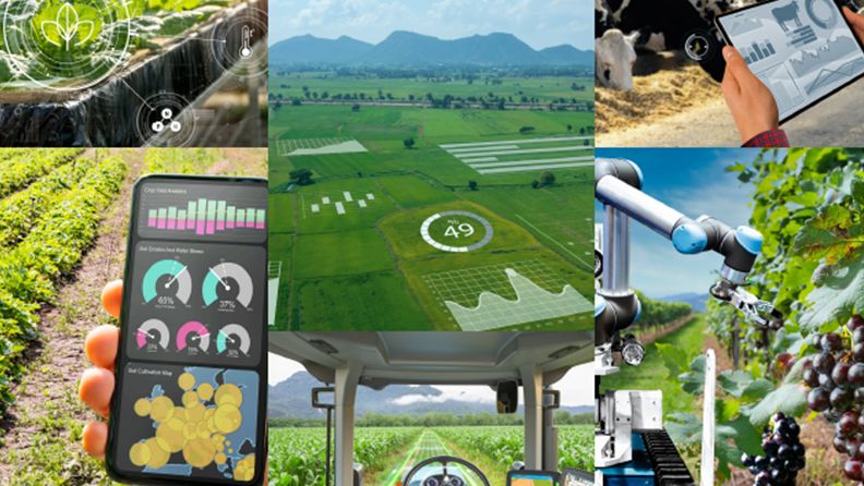 Distintas herramientas digitales asociadas al sector agroalimentario