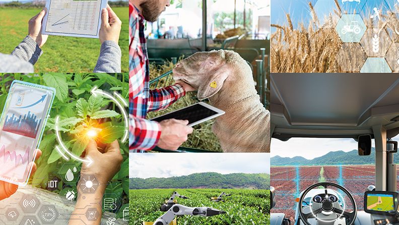 Imágenes de la digitalización agroalimentaria
