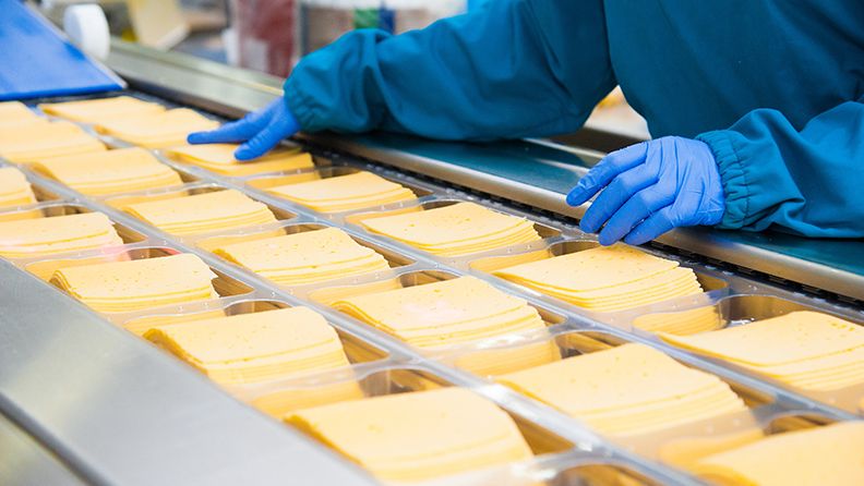 Manos trabajando en una transportadora industrial con queso