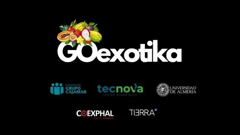 GOexotika impulsando la innovación la diversificación y sostenibilidad de los cultivos de frutas exóticas en Andalucía