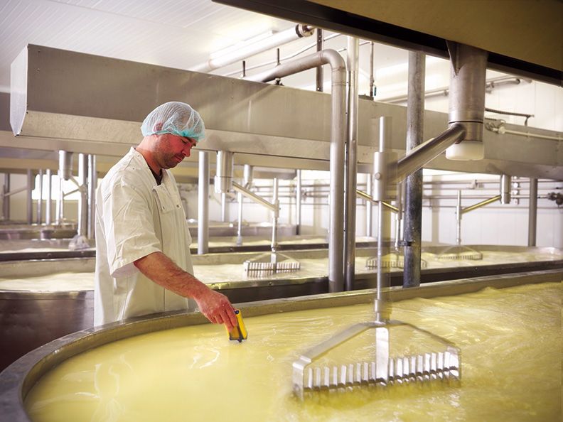 Hombre tomando la temperatura de la leche en una fábrica quesera