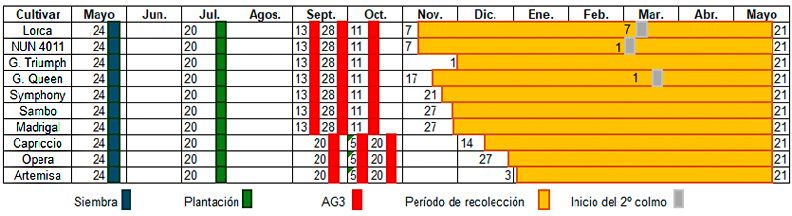 Gráfico 1. Cronograma del ensayo.