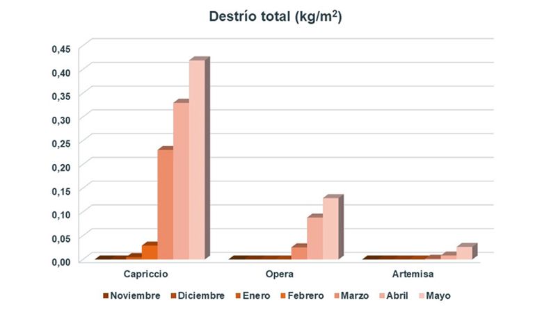 Gráfico 7. Destrío total acumulado por meses, en alcachofas con capítulos violetas.