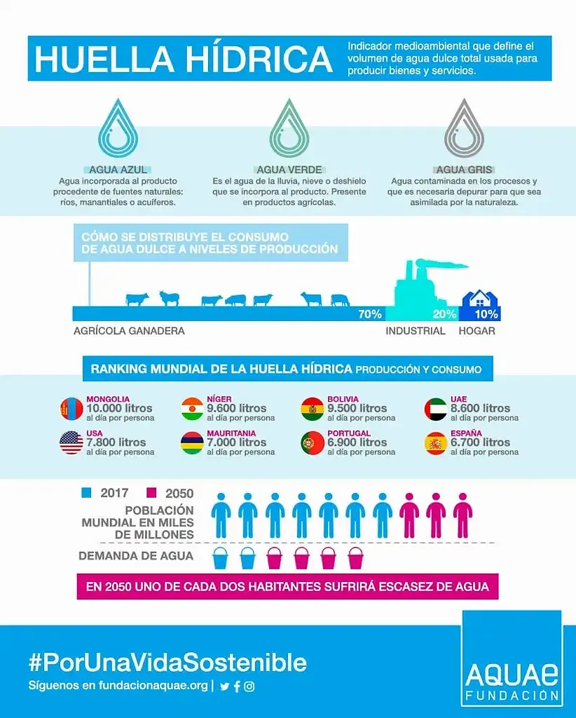 Infografía: 'Los tipos de huella hídrica y su impacto mundial'. Fuente: Fundación Aquae.